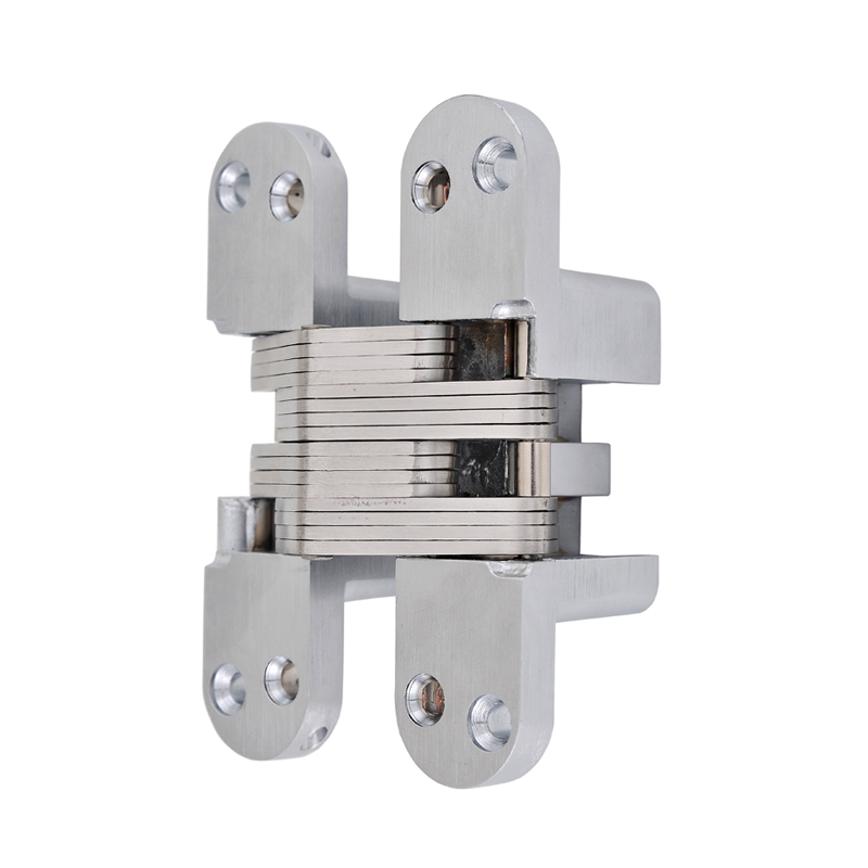 Bisagra Inv.Za-Ch08 20/25Kg.Cr.Sat
