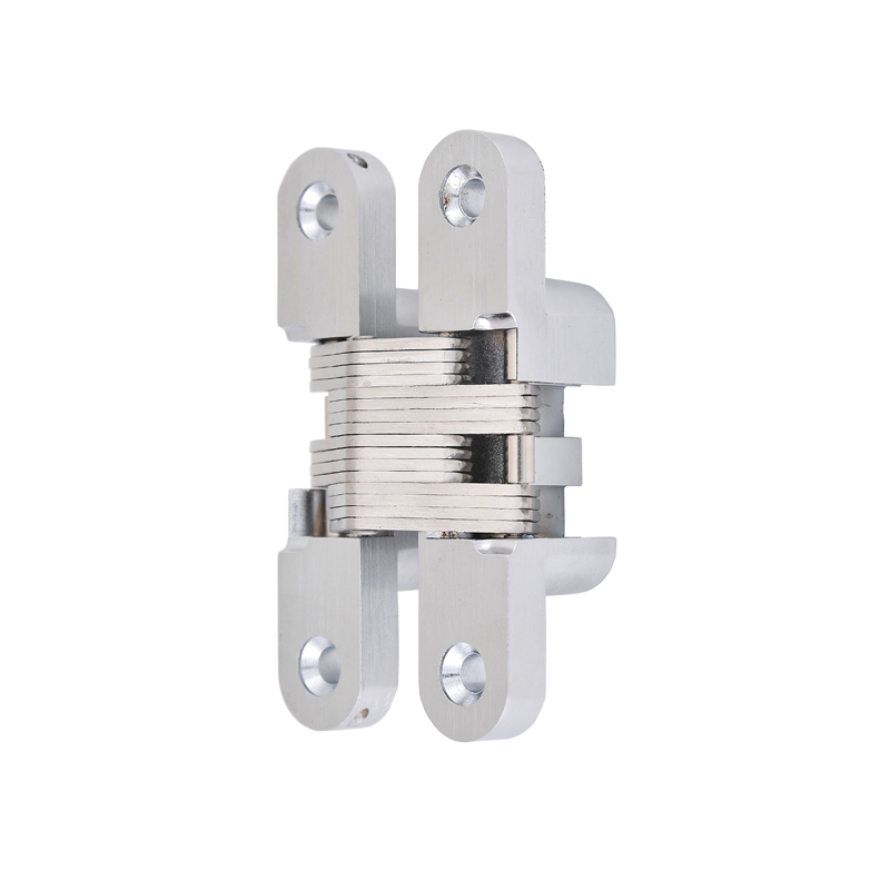 Bisagra Inv.Za-Ch08 15/20Kg. Cr.Satin
