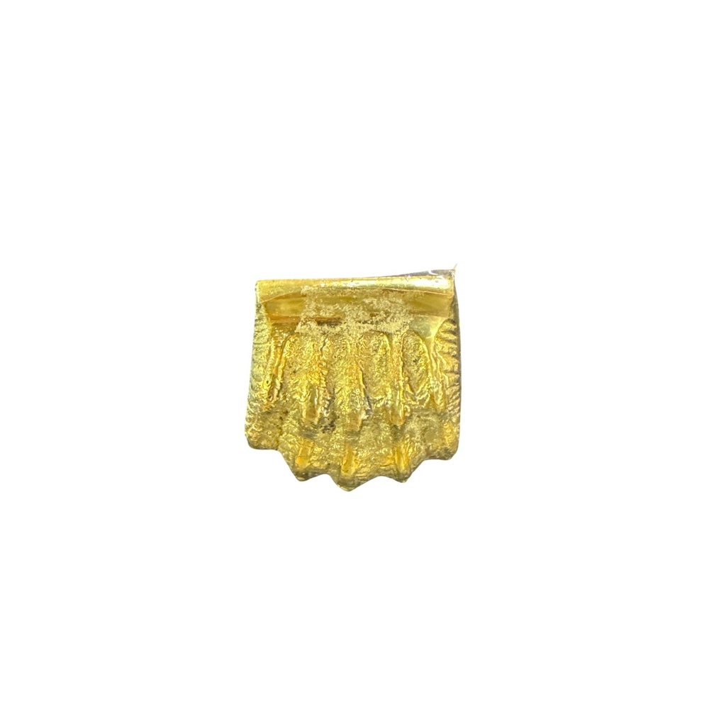 Taco Garra Leon Esp. 5 Garras
